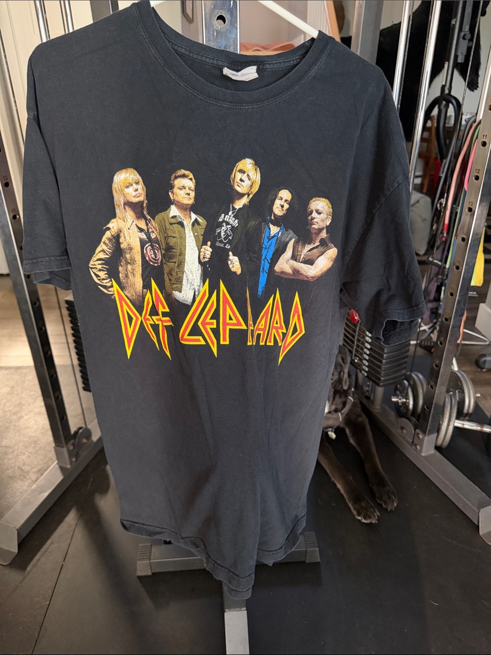 Hanes Black Def Leppard Graphic Tee with Yellow-Red Logo
